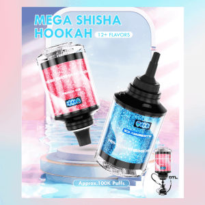 JNR MEGA SHISHA HOOKAH 100000puffs