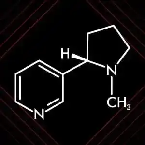 Nicotine Disposable Vape 2%: The Perfect Balance for Vapers 2 Nicotine Disposable Vape 2%