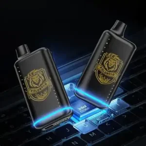 Rechargeable Disposable Vape